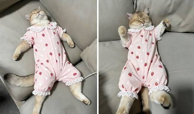 0714aad2b4fba2186f3799965167b2809d46df51