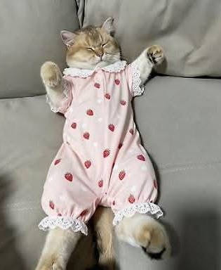 6775e73a78ab72f2c919cb9a773696f74b9e99f5