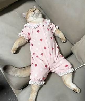 cd2745f82c488aee4a7f17426f3307210899fc98