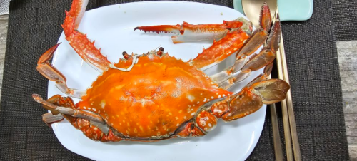 20251024 140425 down 1